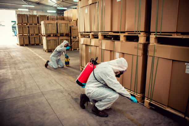 Best Local Pest Control Services  in Midway, GA