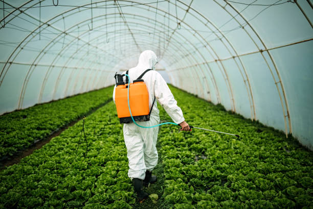 Best Affordable Pest Control Services  in Midway, GA