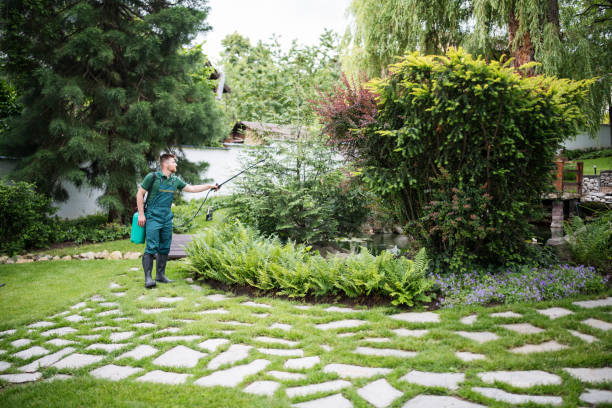 Wasp Removal Services in Midway, GA