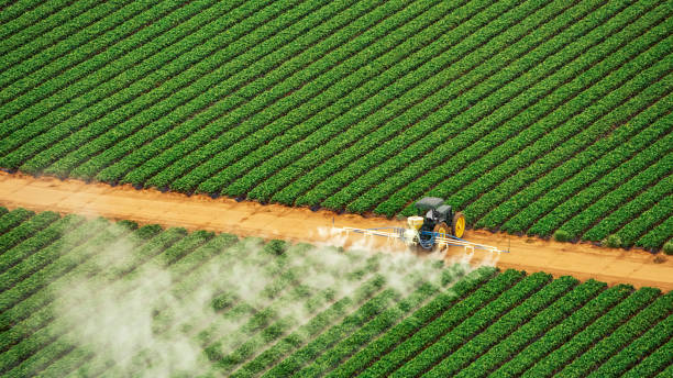 Best Termite Control Services  in Midway, GA