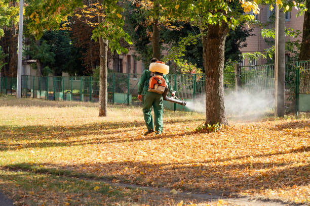 Best Emergency Pest Control  in Midway, GA