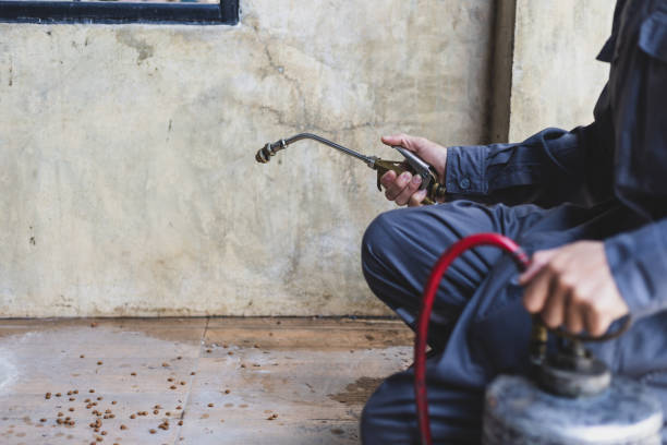 Best Rat Extermination Near Me  in Midway, GA